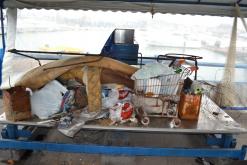 Galeria de Fotos - 