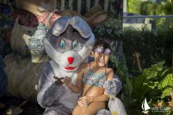 Galeria de Fotos - 