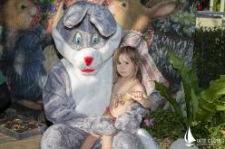 Galeria de Fotos - 