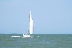 Galeria de Fotos - FOTOS - Taça Cidade de Vitória - OCEANO