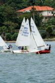 Galeria de Fotos - FOTOS - Regata da MArinha