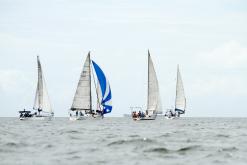 Galeria de Fotos - 21ª Regata Vitória x Guarapari