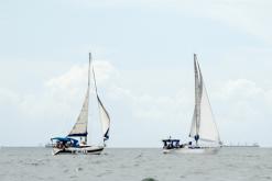 Galeria de Fotos - 21ª Regata Vitória x Guarapari