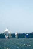 Galeria de Fotos - FOTOS - 68ª Regata Volta da Taputera - Oceano