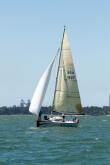 Galeria de Fotos - FOTOS - 68ª Regata Volta da Taputera - Oceano
