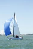 Galeria de Fotos - FOTOS - 68ª Regata Volta da Taputera - Oceano