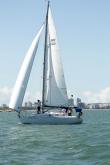 Galeria de Fotos - FOTOS - 68ª Regata Volta da Taputera - Oceano