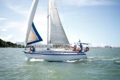 Galeria de Fotos - FOTOS - 68ª Regata Volta da Taputera - Oceano