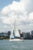 Galeria de Fotos - FOTOS - 68ª Regata Volta da Taputera - Oceano