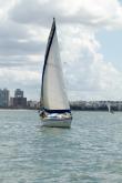 Galeria de Fotos - FOTOS - 68ª Regata Volta da Taputera - Oceano