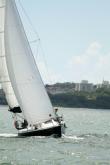 Galeria de Fotos - FOTOS - 68ª Regata Volta da Taputera - Oceano