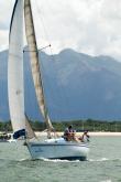 Galeria de Fotos - FOTOS - 68ª Regata Volta da Taputera - Oceano