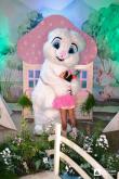 Galeria de Fotos - FOTOS - Festa da Páscoa 2023
