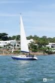 Galeria de Fotos - FOTOS - Campeonato Estadual de Vela 2023 - CLASSE OCEANO