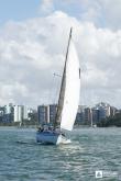 Galeria de Fotos - FOTOS - Campeonato Estadual de Vela 2023 - CLASSE OCEANO