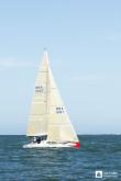 Galeria de Fotos - FOTOS - Campeonato Estadual de Vela 2023 - CLASSE OCEANO