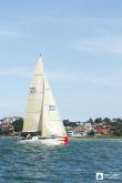 Galeria de Fotos - FOTOS - Campeonato Estadual de Vela 2023 - CLASSE OCEANO