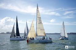 Galeria de Fotos - FOTOS - Campeonato Estadual de Vela 2023 - CLASSE OCEANO