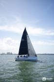 Galeria de Fotos - FOTOS - Campeonato Estadual de Vela 2023 - CLASSE OCEANO