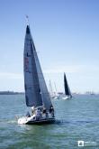 Galeria de Fotos - FOTOS - Campeonato Estadual de Vela 2023 - CLASSE OCEANO