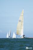 Galeria de Fotos - FOTOS - Campeonato Estadual de Vela 2023 - CLASSE OCEANO