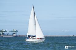 Galeria de Fotos - FOTOS - Campeonato Estadual de Vela 2023 - CLASSE OCEANO