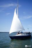 Galeria de Fotos - FOTOS - Campeonato Estadual de Vela 2023 - CLASSE OCEANO