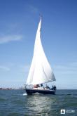 Galeria de Fotos - FOTOS - Campeonato Estadual de Vela 2023 - CLASSE OCEANO