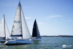 Galeria de Fotos - FOTOS - Campeonato Estadual de Vela 2023 - CLASSE OCEANO
