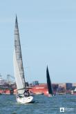 Galeria de Fotos - FOTOS - Campeonato Estadual de Vela 2023 - CLASSE OCEANO