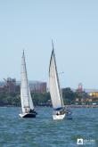 Galeria de Fotos - FOTOS - Campeonato Estadual de Vela 2023 - CLASSE OCEANO