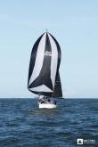 Galeria de Fotos - FOTOS - Campeonato Estadual de Vela 2023 - CLASSE OCEANO