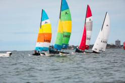Galeria de Fotos - FOTOS - Campeonato Estadual de Vela 2023 - Monotipos