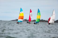 Galeria de Fotos - FOTOS - Campeonato Estadual de Vela 2023 - Monotipos
