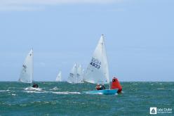 Galeria de Fotos - FOTOS - 37º Campeonato Brasileiro da Classe Dingue