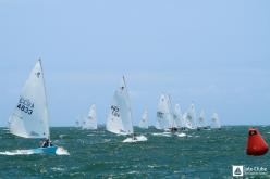 Galeria de Fotos - FOTOS - 37º Campeonato Brasileiro da Classe Dingue