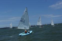 Galeria de Fotos - FOTOS - 37º Campeonato Brasileiro da Classe Dingue