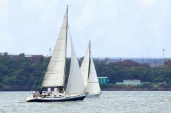 Galeria de Fotos - FOTOS - Campeonato Estadual de Vela 2024 - CLASSE OCEANO