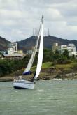 Galeria de Fotos - FOTOS - Campeonato Estadual de Vela 2024 - CLASSE OCEANO