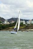Galeria de Fotos - FOTOS - Campeonato Estadual de Vela 2024 - CLASSE OCEANO