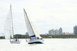 Galeria de Fotos - FOTOS - Campeonato Estadual de Vela 2024 - CLASSE OCEANO