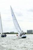 Galeria de Fotos - FOTOS - Campeonato Estadual de Vela 2024 - CLASSE OCEANO