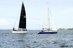 Galeria de Fotos - FOTOS - Campeonato Estadual de Vela 2024 - CLASSE OCEANO