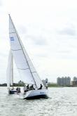 Galeria de Fotos - FOTOS - Campeonato Estadual de Vela 2024 - CLASSE OCEANO