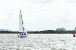 Galeria de Fotos - FOTOS - Campeonato Estadual de Vela 2024 - CLASSE OCEANO
