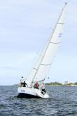 Galeria de Fotos - FOTOS - Campeonato Estadual de Vela 2024 - CLASSE OCEANO
