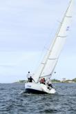 Galeria de Fotos - FOTOS - Campeonato Estadual de Vela 2024 - CLASSE OCEANO