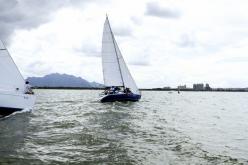 Galeria de Fotos - FOTOS - Campeonato Estadual de Vela 2024 - CLASSE OCEANO