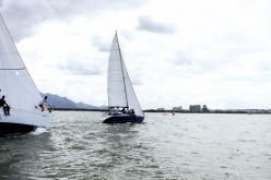 Galeria de Fotos - FOTOS - Campeonato Estadual de Vela 2024 - CLASSE OCEANO