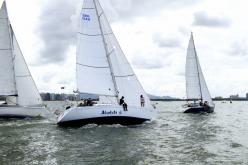 Galeria de Fotos - FOTOS - Campeonato Estadual de Vela 2024 - CLASSE OCEANO